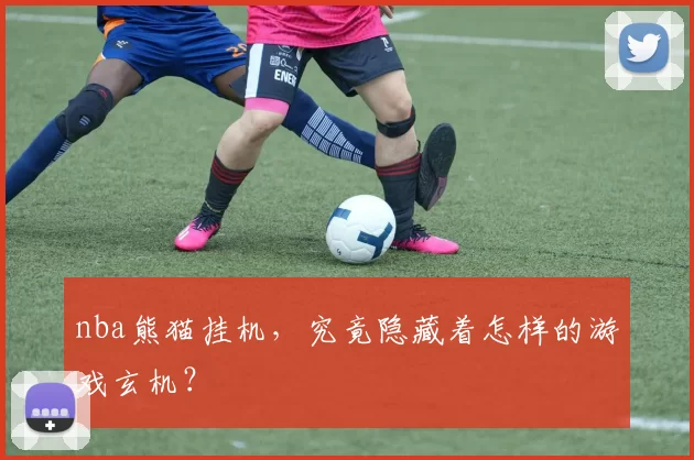 nba熊猫挂机，究竟隐藏着怎样的游戏玄机？